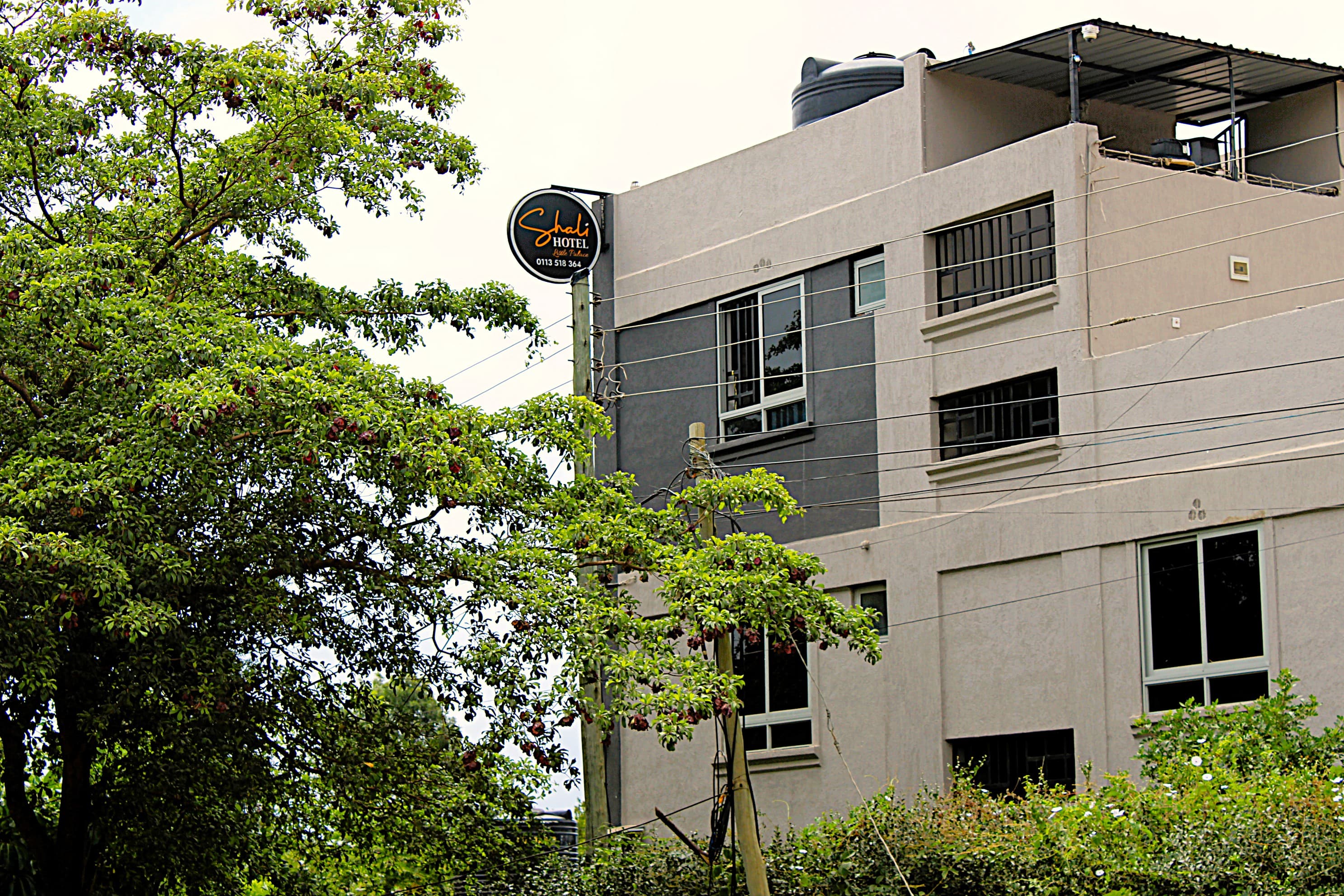 The Shali Hotel building seen through the trees in Wote